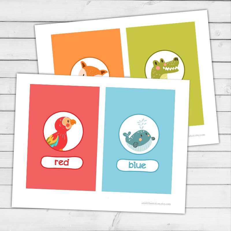 Colour Flash Cards Color Flash Cards Nursery Wall Educational Kids Room School Class Decor Wall Art Instant Digital Download Printable