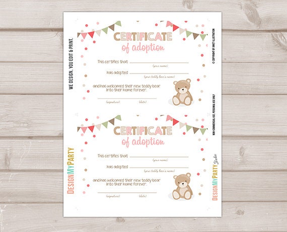 Teddy Bear Adoption Certificate Teddy Bear Birthday Teddy Bear Picnic Decor Girl Pink Adopt a Teddy Instant Download Digital PRINTABLE 0100