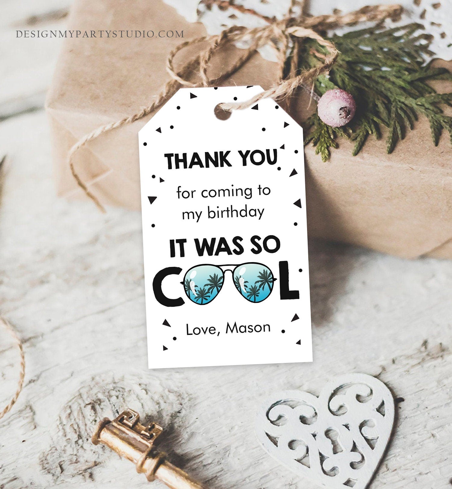 Editable Cool Birthday Favor Tags Thank You Tags Boy Pilot Sunglasses Second Birthday 2nd Gift Tag Corjl Template Printable 0136