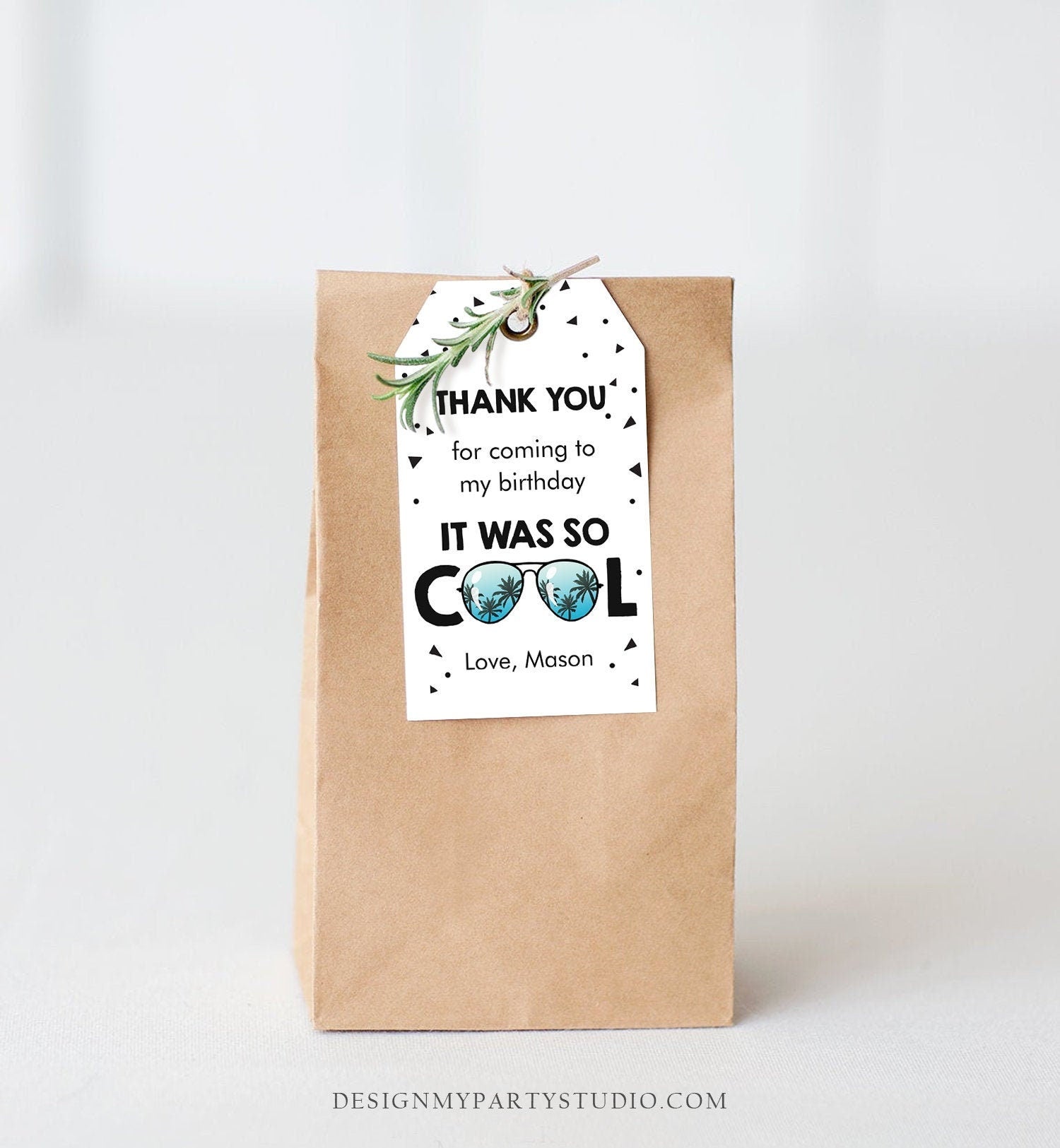 Editable Cool Birthday Favor Tags Thank You Tags Boy Pilot Sunglasses Second Birthday 2nd Gift Tag Corjl Template Printable 0136