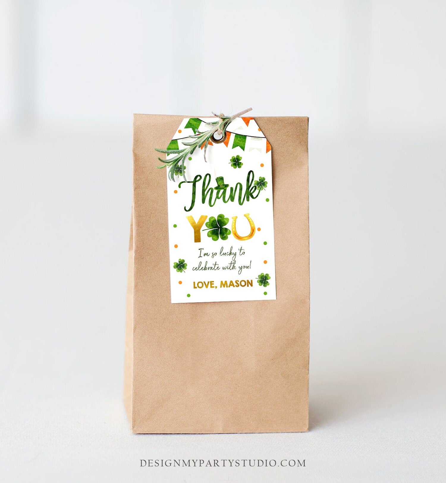 Editable St Patrick's Day Thank You Favor Tag Lucky One Horseshoe Boy Green Gold Clover Shamrock Birthday Party Corjl Template 0451 0379