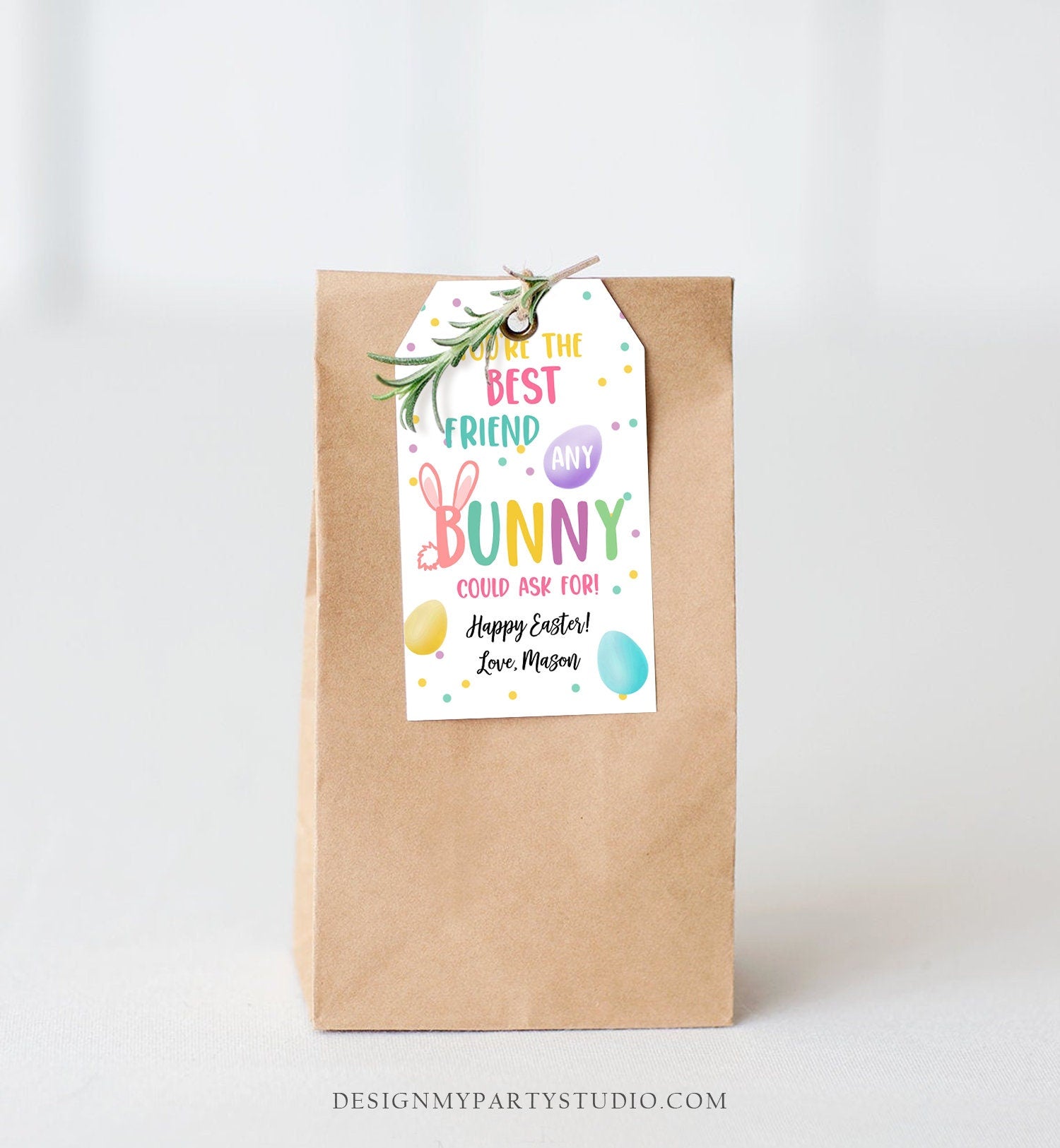 Editable Easter Gift Tags Easter You're the Best Friend Any Bunny Could Ask For Favor Tags Classroom Kids Class Treat Digital PRINTABLE 0449