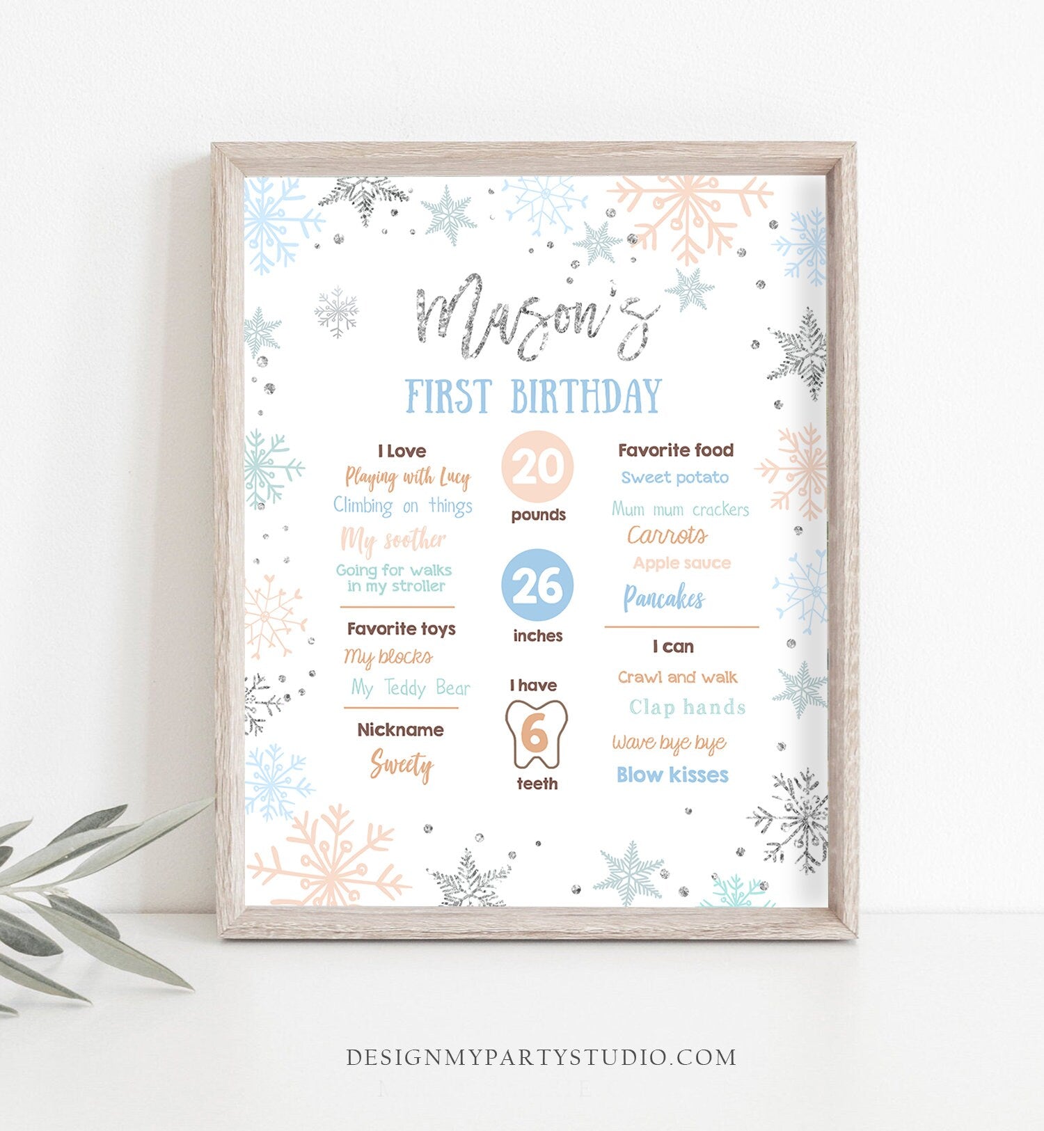 Editable Winter Birthday Milestones Sign Winter Onederland First Birthday Boy Blue Silver Snowflakes Floral Digital Template Printable 0256