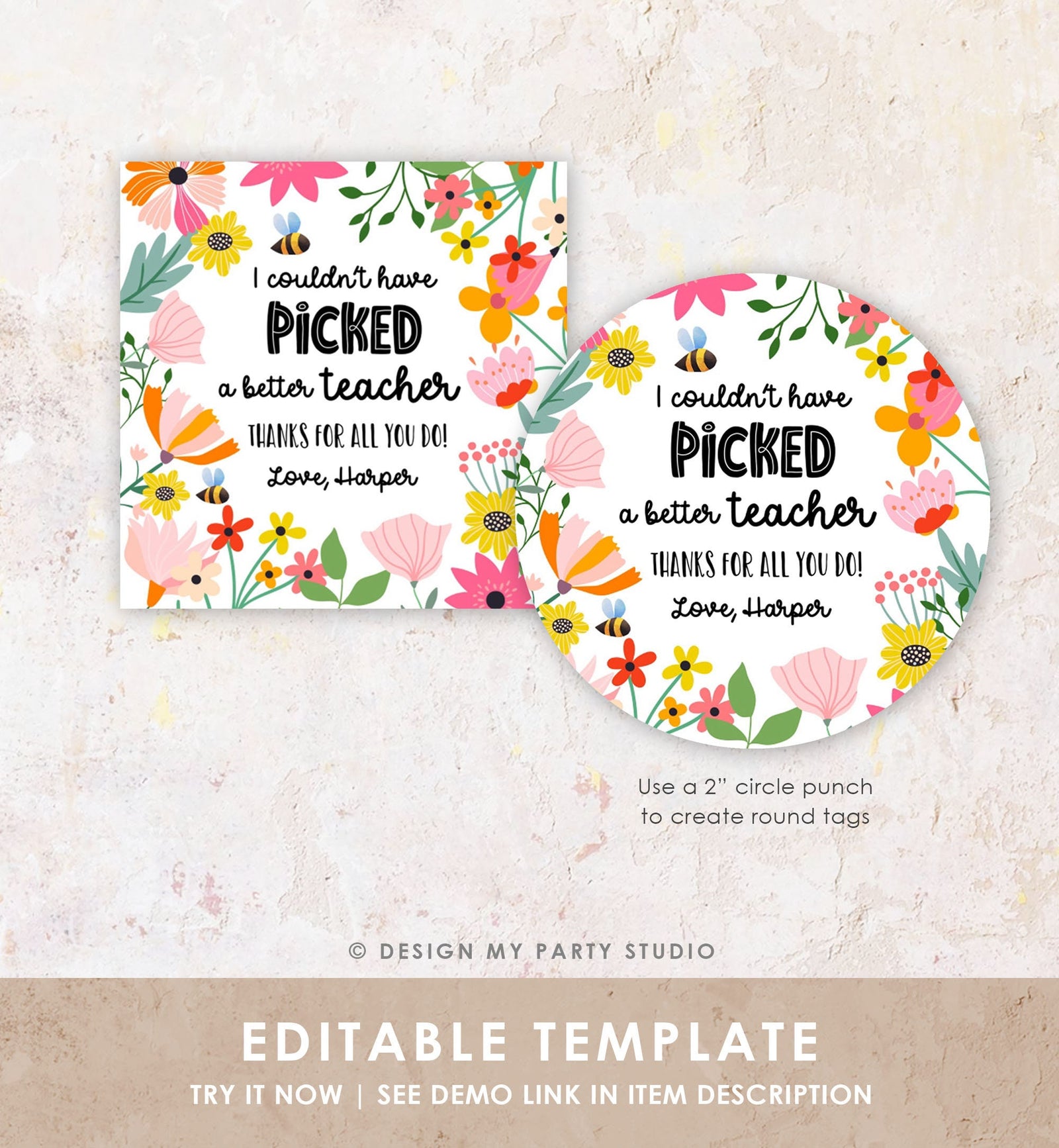Editable Teacher Appreciation Tag Thank You Couldn't Have Picked a Better Teacher Flower Gift Tag Plant Tag Digital Template Printable 0464