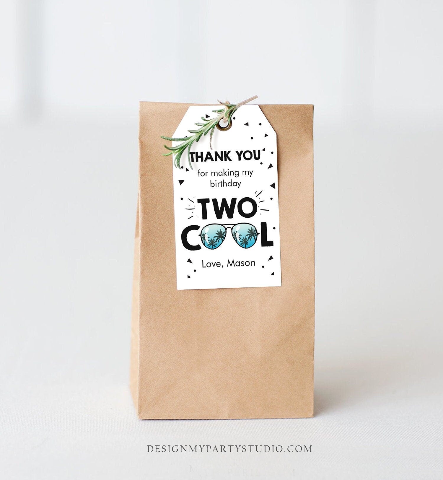 Editable Two Cool Favor Tag Birthday Thank You Tag Boy Second 2nd Birthday Gift Tag Sunglasses Palm Digital Corjl Template Printable 0136
