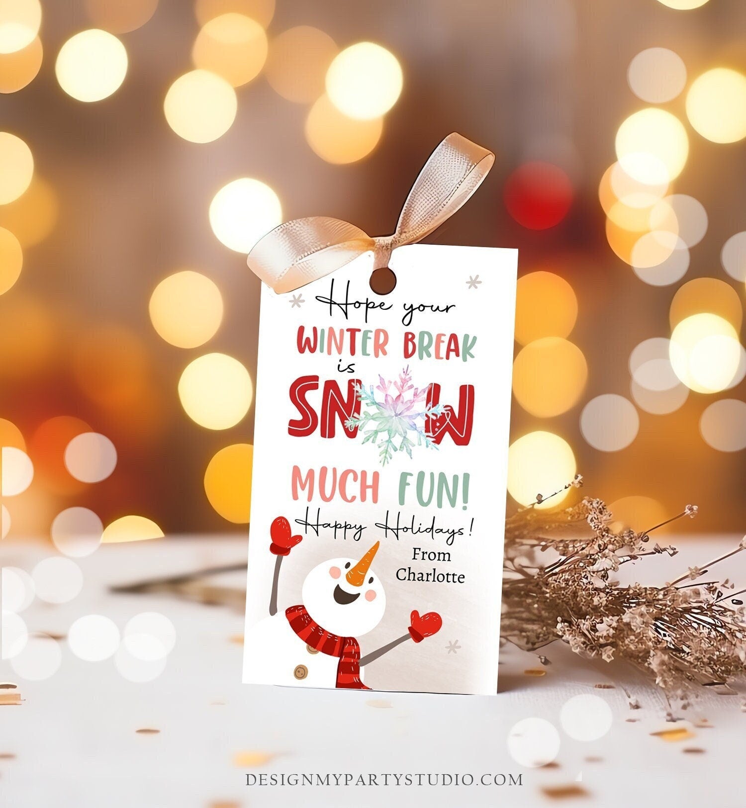 Editable Hope Your Winter Break is Snow Much Fun Favor Gift Tag Christmas Holiday Teacher Student Preschool Digital Template Printable 0443