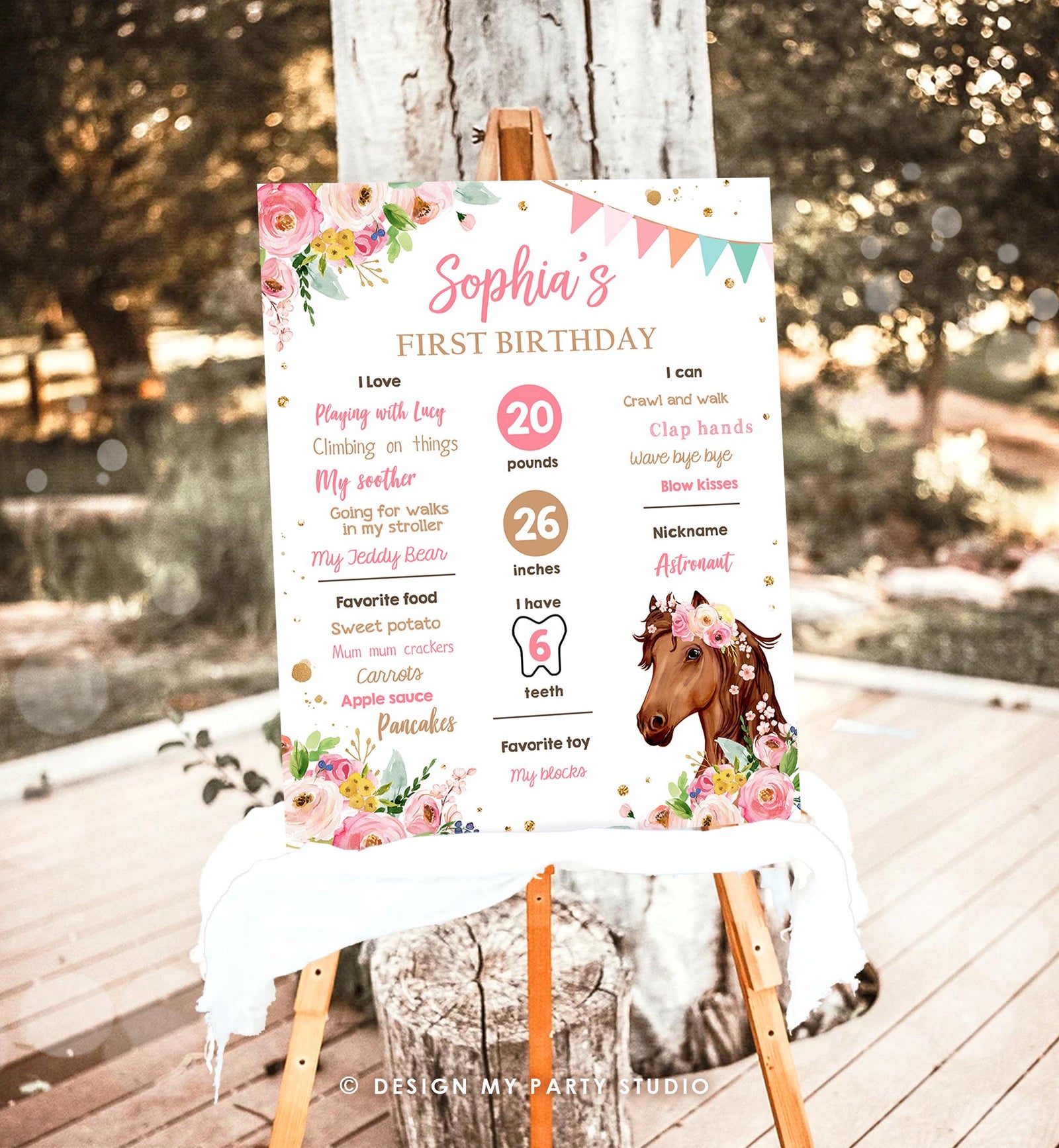 Editable Horse Birthday Milestones Sign First Birthday 1st Disco Rodeo Western Girl Pink Floral Download Digital Template Printable 0408