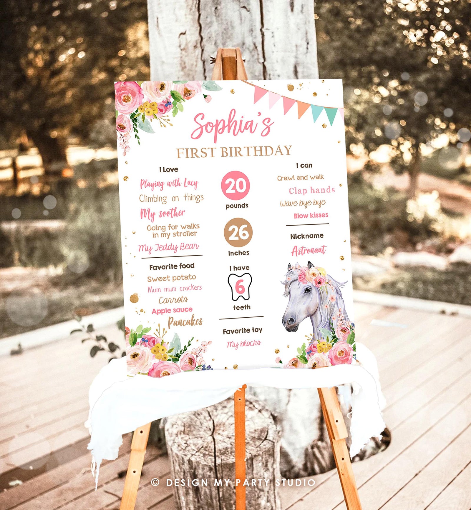 Editable Horse Birthday Milestones Sign First Birthday 1st Disco Rodeo Western Girl Pink Floral Download Digital Template Printable 0408