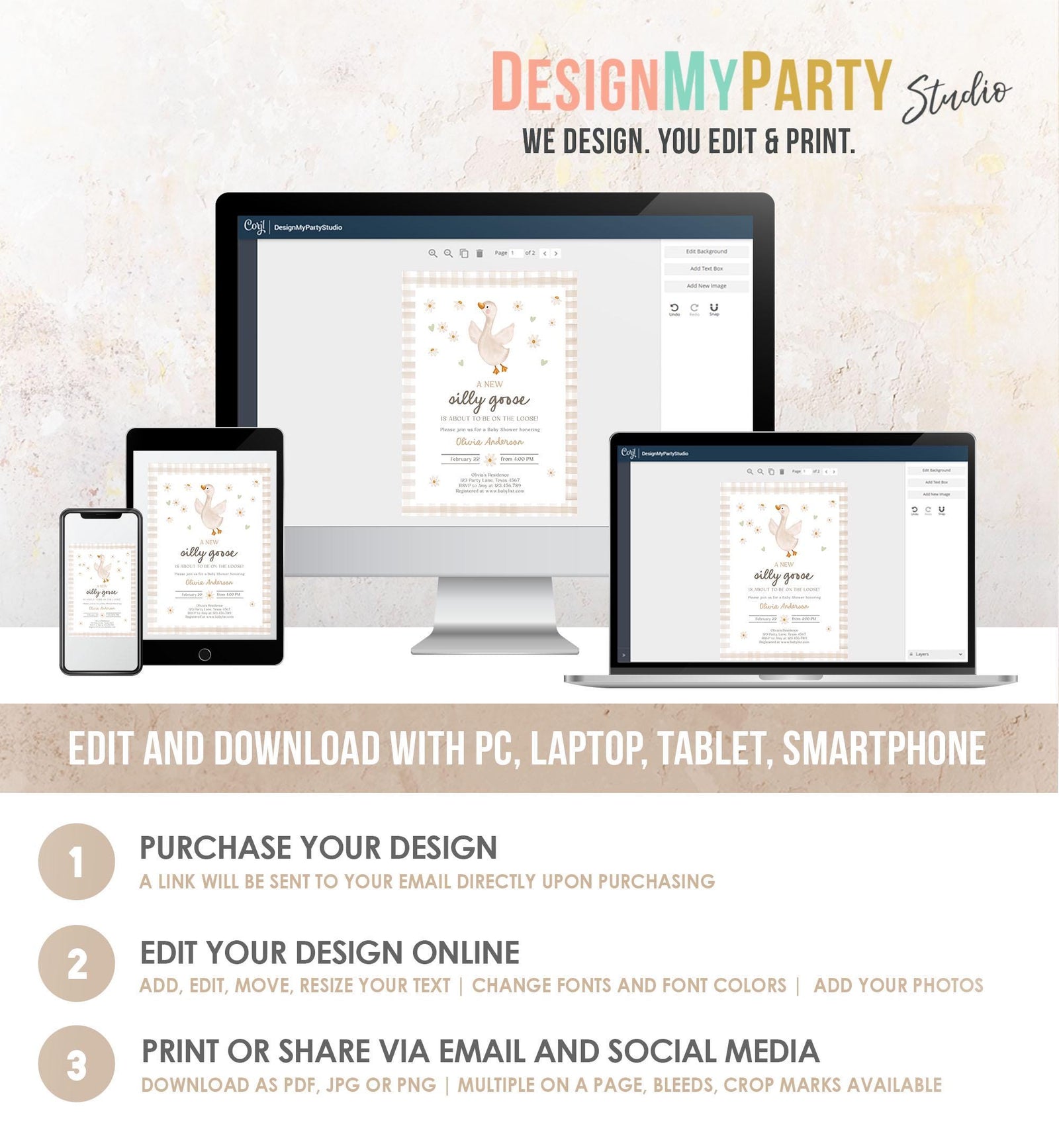 Editable Silly Goose Baby Shower Invitation Neutral Spring Shower Party Farm Daisy Gingham Boy Girl Digital Download Template Printable 0540