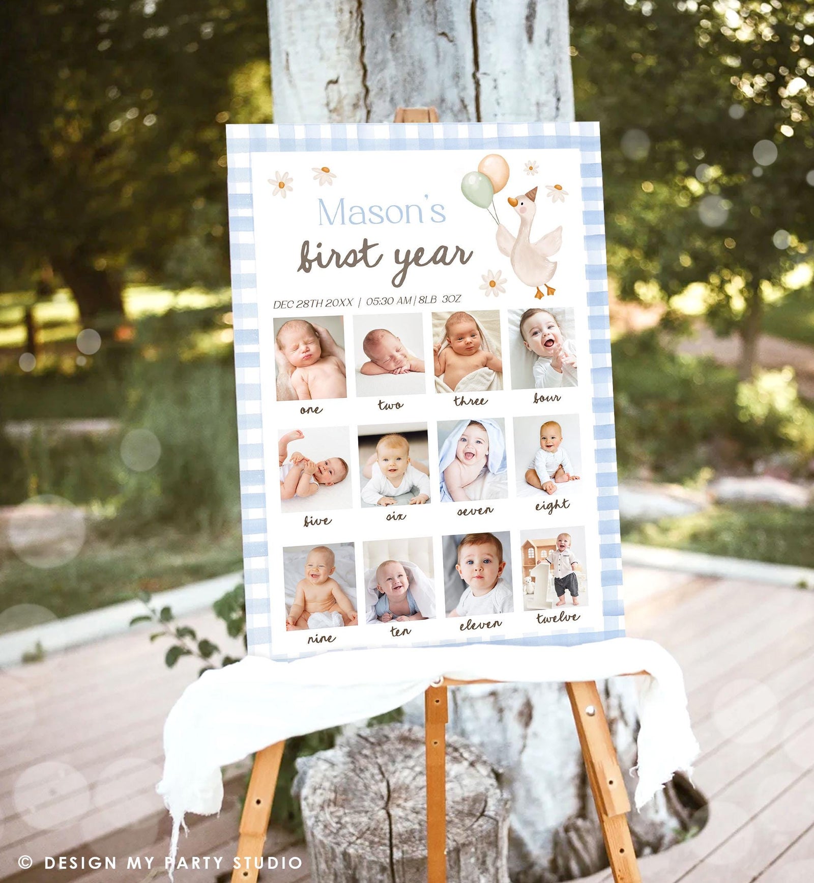 Editable One Silly Goose First Birthday Photo Board Boy Blue Banner Monthly Photo Sign 1st Birthday Poster Teddy Template Printable 0540