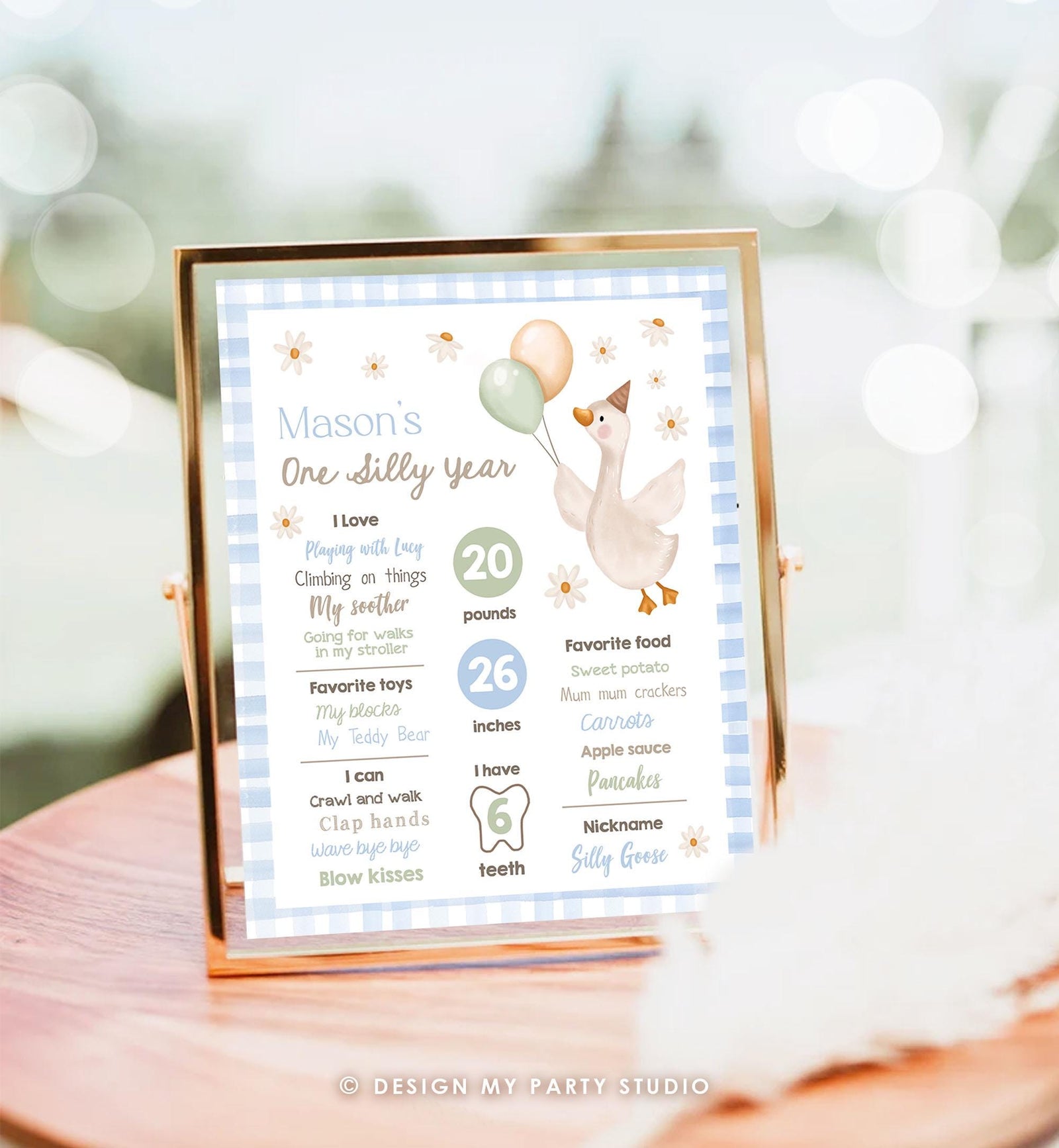 Editable One Silly Goose Birthday Milestone Sign Goose 1st Birthday Blue Boy First Year Stats Poster Farm Digital Template Printable 0540