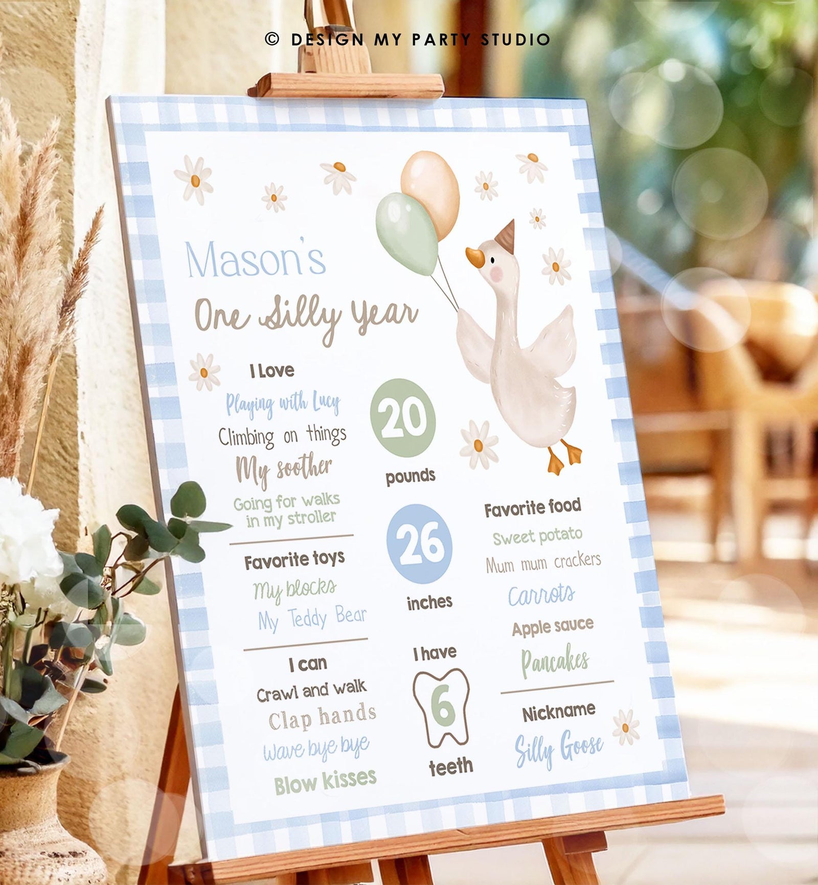 Editable One Silly Goose Birthday Milestone Sign Goose 1st Birthday Blue Boy First Year Stats Poster Farm Digital Template Printable 0540