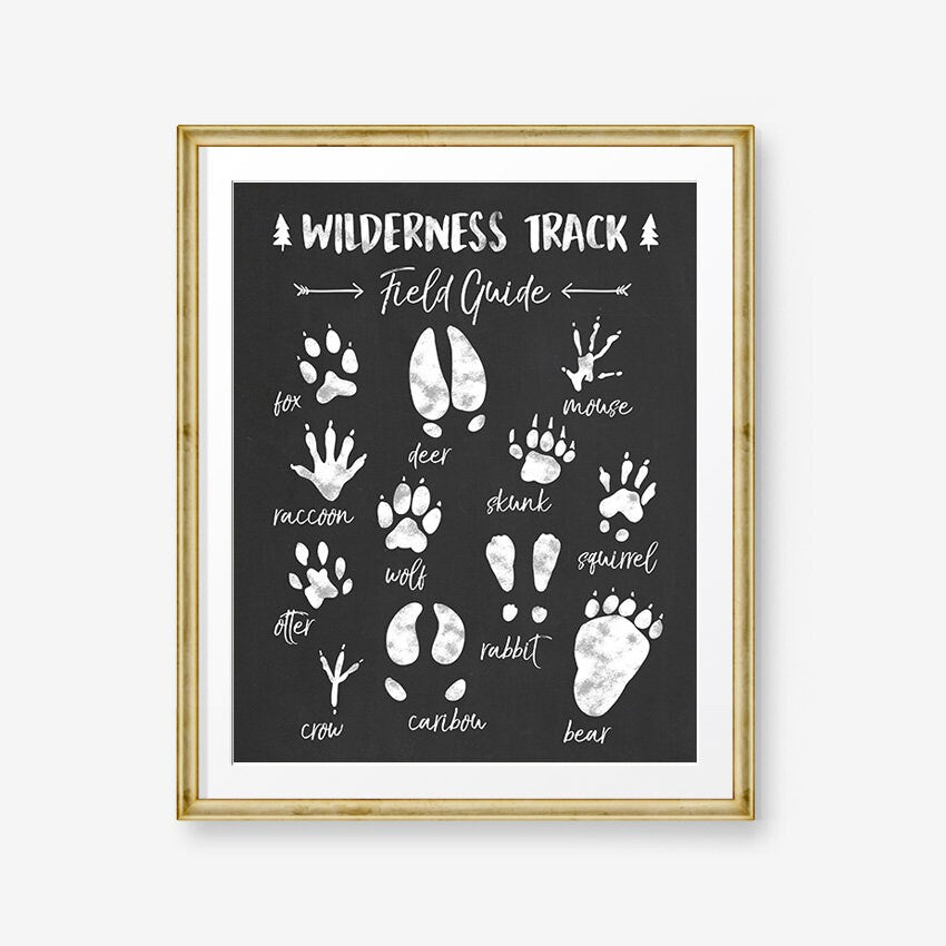 Animal Track Field Guide Woodland Nursery Woodland wall decal Wilderness Nursery decor Wildlife White black Digital PRINTABLE download 8x10