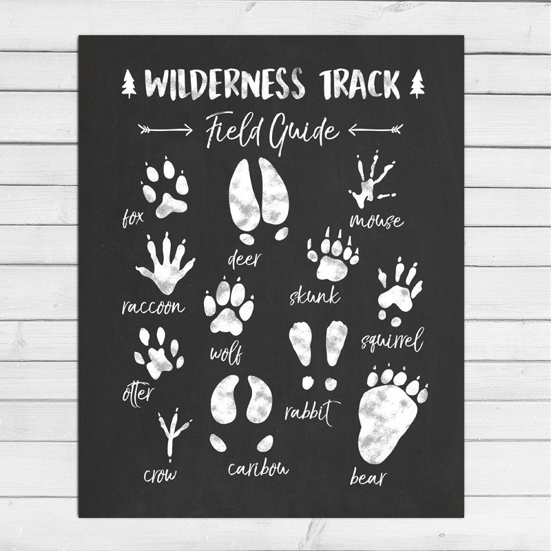 Animal Track Field Guide Woodland Nursery Woodland wall decal Wilderness Nursery decor Wildlife White black Digital PRINTABLE download 8x10