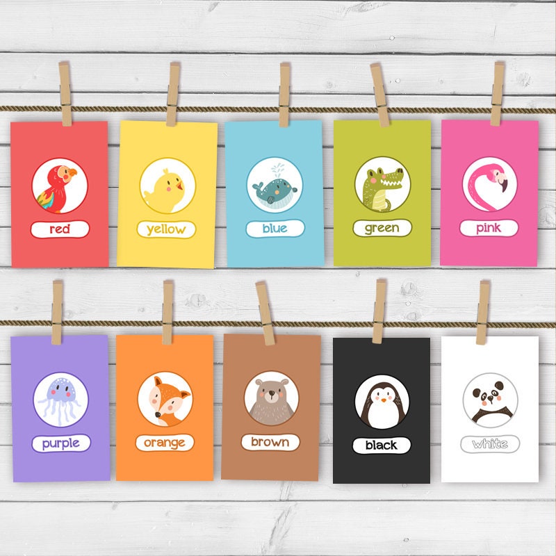 Colour Flash Cards Color Flash Cards Nursery Wall Educational Kids Room School Class Decor Wall Art Instant Digital Download Printable