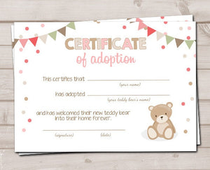 Teddy Bear Adoption Certificate Teddy Bear Birthday Teddy Bear Picnic Decor Girl Pink Adopt a Teddy Instant Download Digital PRINTABLE 0100