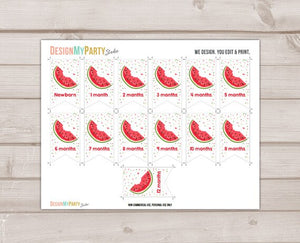 Watermelon Clothespin Monthly Photo Banner First birthday banner Monthly Photo Display Melon Decor Instant Download DIY PRINTABLE 0120