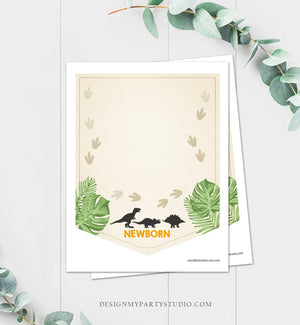 Dinosaur Monthly First Birthday Photo Banner Boy Dino Dig Party Prehistoric T-Rex Leaves Foot Prints Instant Download Printable 0043
