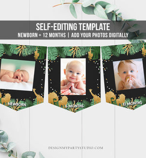 Editable Safari Animals Monthly First Birthday Banner Photo Banner Gold Green Boy Jungle Zoo Wild One Corjl Download Template Printable 0016