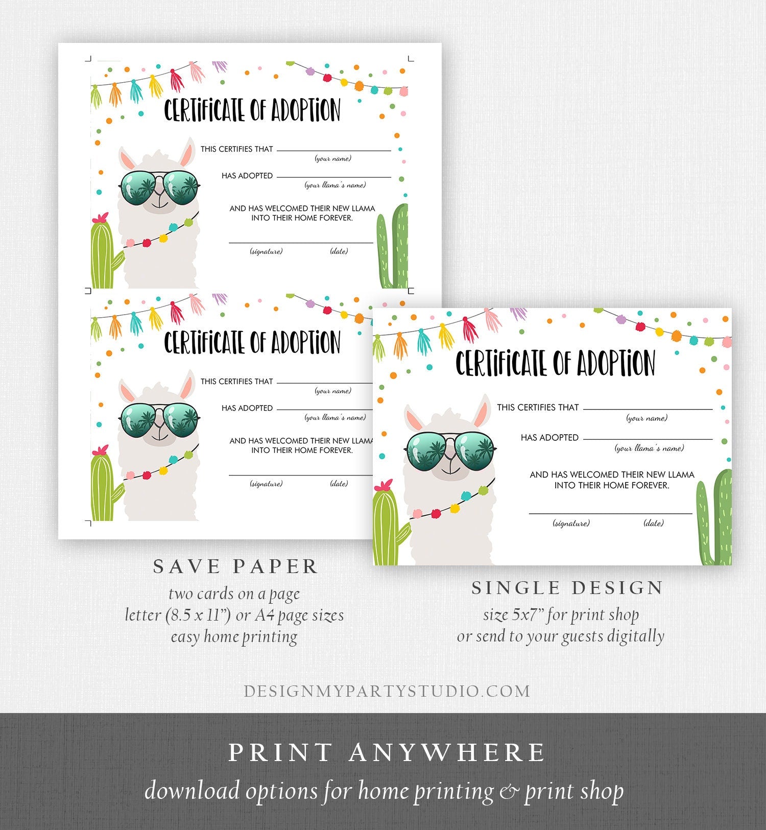Llama Adoption Certificate Adopt a Llama Llama Birthday Party Cactus Fiesta Mexican Girl Animal Adoption Download Digital Printable 0079
