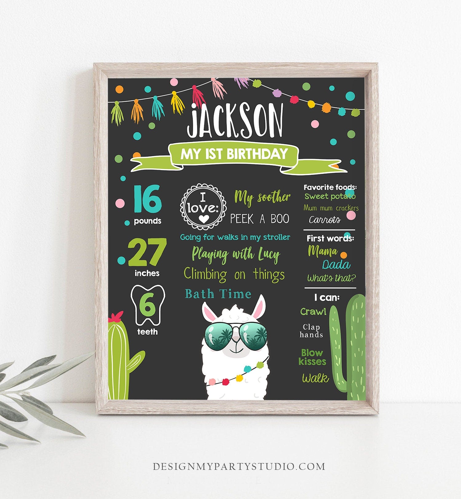 Editable Llama Birthday Milestones Sign Fiesta Mexican Alpaca Boy First Birthday 1st Chalk Instant Download Corjl Template Printable 0079