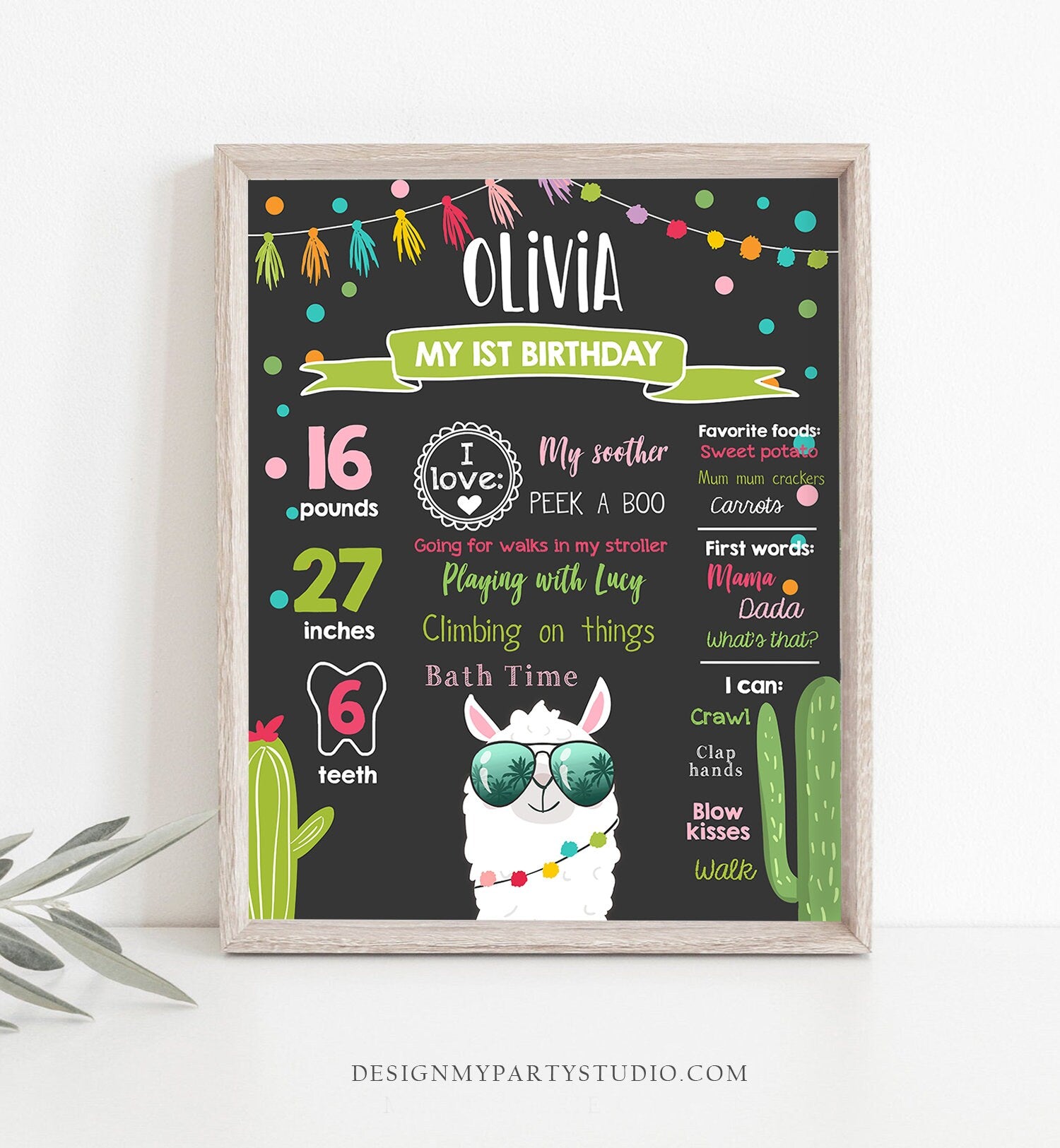 Editable Llama Birthday Milestones Sign Fiesta Mexican Alpaca Girl First Birthday 1st Chalk Instant Download Corjl Template Printable 0079