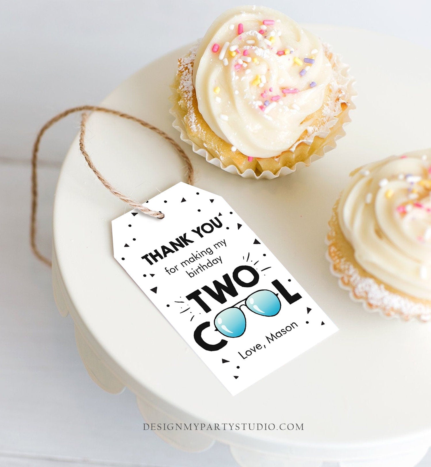 Editable Two Cool Favor Tags Birthday Thank You Tags Boy Second Birthday 2nd Gift Tags Sunglasses Pilot Digital Template Printable 0136