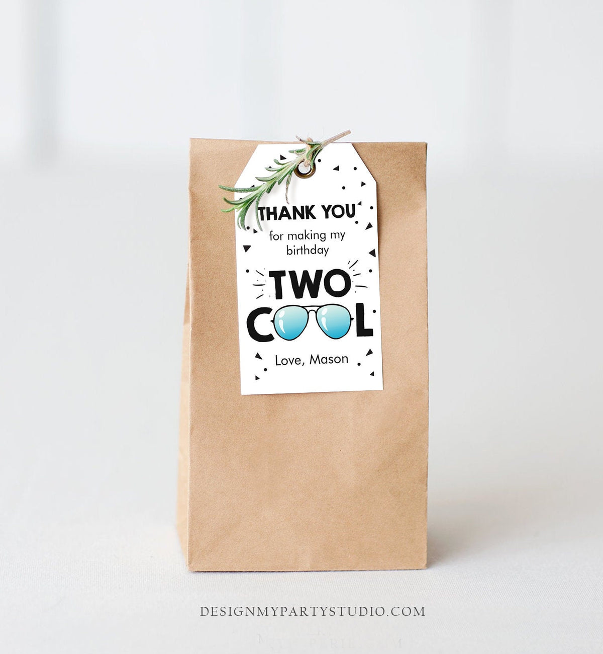 Editable Two Cool Favor Tags Birthday Thank You Tags Boy Second Birthday 2nd Gift Tags Sunglasses Pilot Digital Template Printable 0136