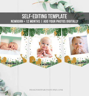 Editable Safari Animals Monthly First Birthday Banner Photo Banner Gold Green Boy Jungle Zoo Wild One Corjl Download Template Printable 0016