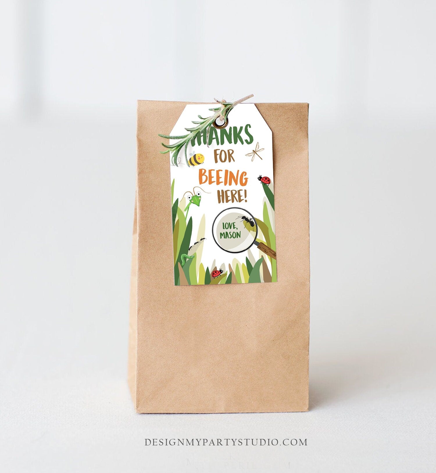 Editable Bug Favor Tags Bug Birthday Bugs Thank you tags Label Bug Party Insect Gift tags Bugging out Beeing Template PRINTABLE Corjl 0090