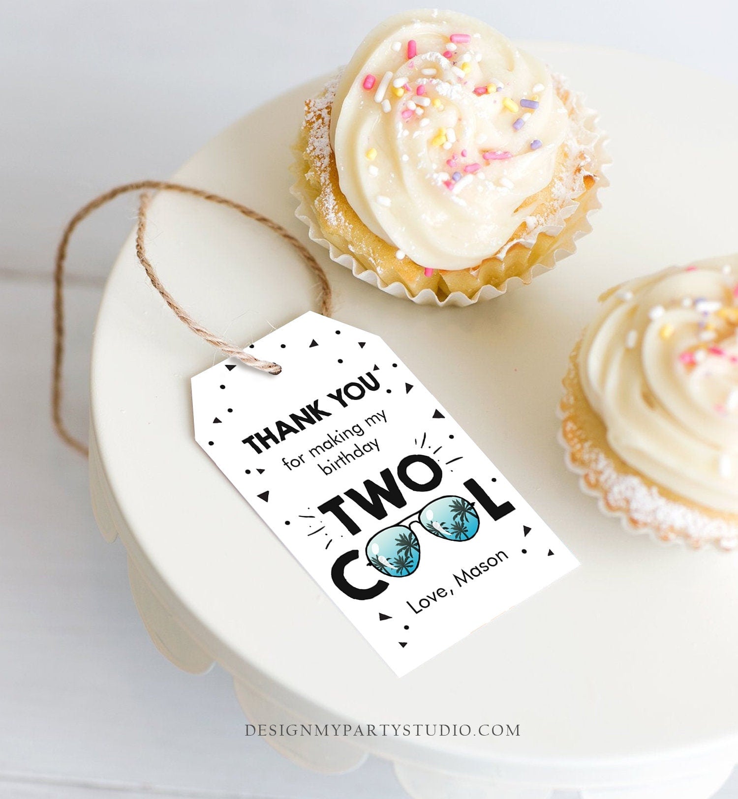 Editable Two Cool Favor Tag Birthday Thank You Tag Boy Second 2nd Birthday Gift Tag Sunglasses Palm Digital Corjl Template Printable 0136