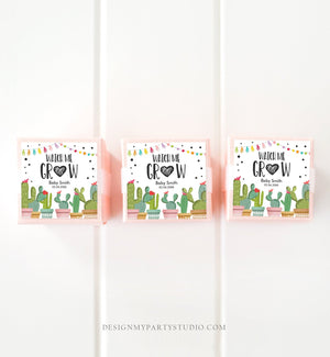 Editable Watch Me Grow Tags Fiesta Cactus Favor Tags Baby Shower Bridal Succulent Taco Bout Love Tag Corjl Baby Template Printable 0254