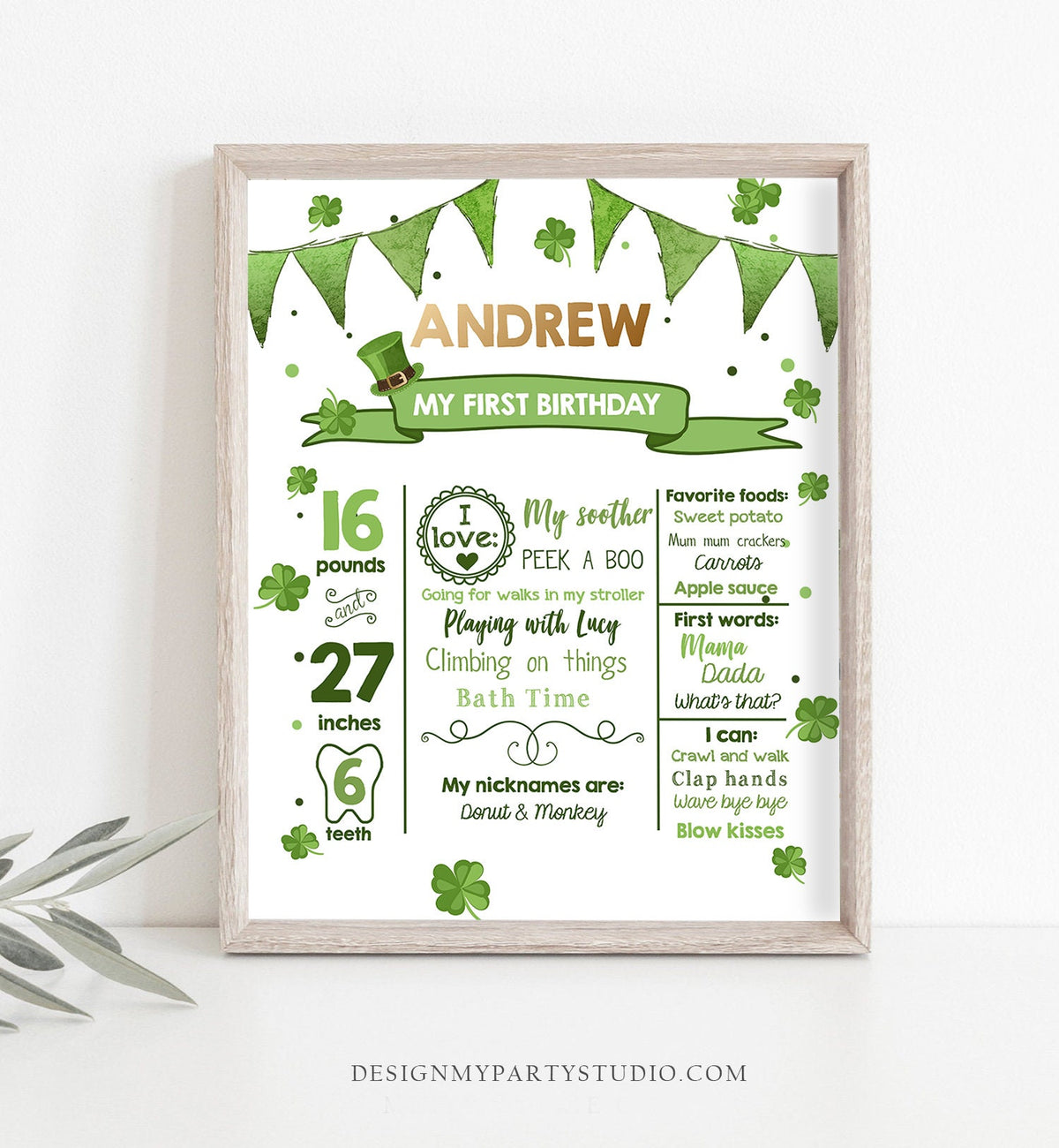 Editable St Patricks Day Milestones Sign Lucky 1sr Birthday Sign Shamrock 1st Birthday Gold Green Clover Digital Template Printable 0115