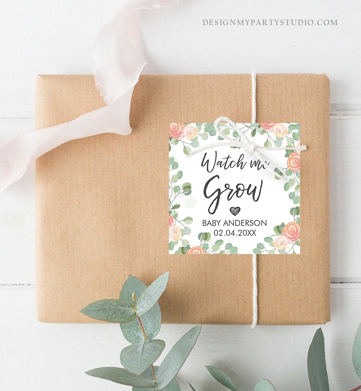 watch me grow succulent tags Editable Watch Me Grow Tags Baby Shower Favor Tags Plant Tags Cactus S