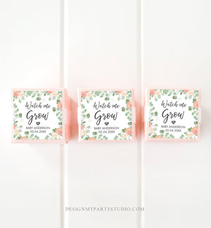 Editable Watch Me Grow Tags Baby Shower Favor Tags Plant Tags Cactus Succulent Thank You Tag Download Corjl Template Printable 0029