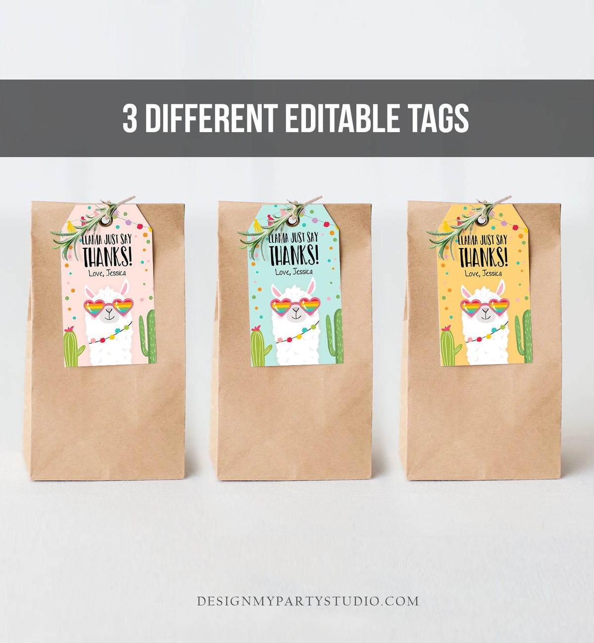 Editable Llama Favor Tags Whole Llama Fun Thank You Tags Llama Birthday Fiesta Mexican Cactus Gift Tag Alpaca Digital Download Template 0079