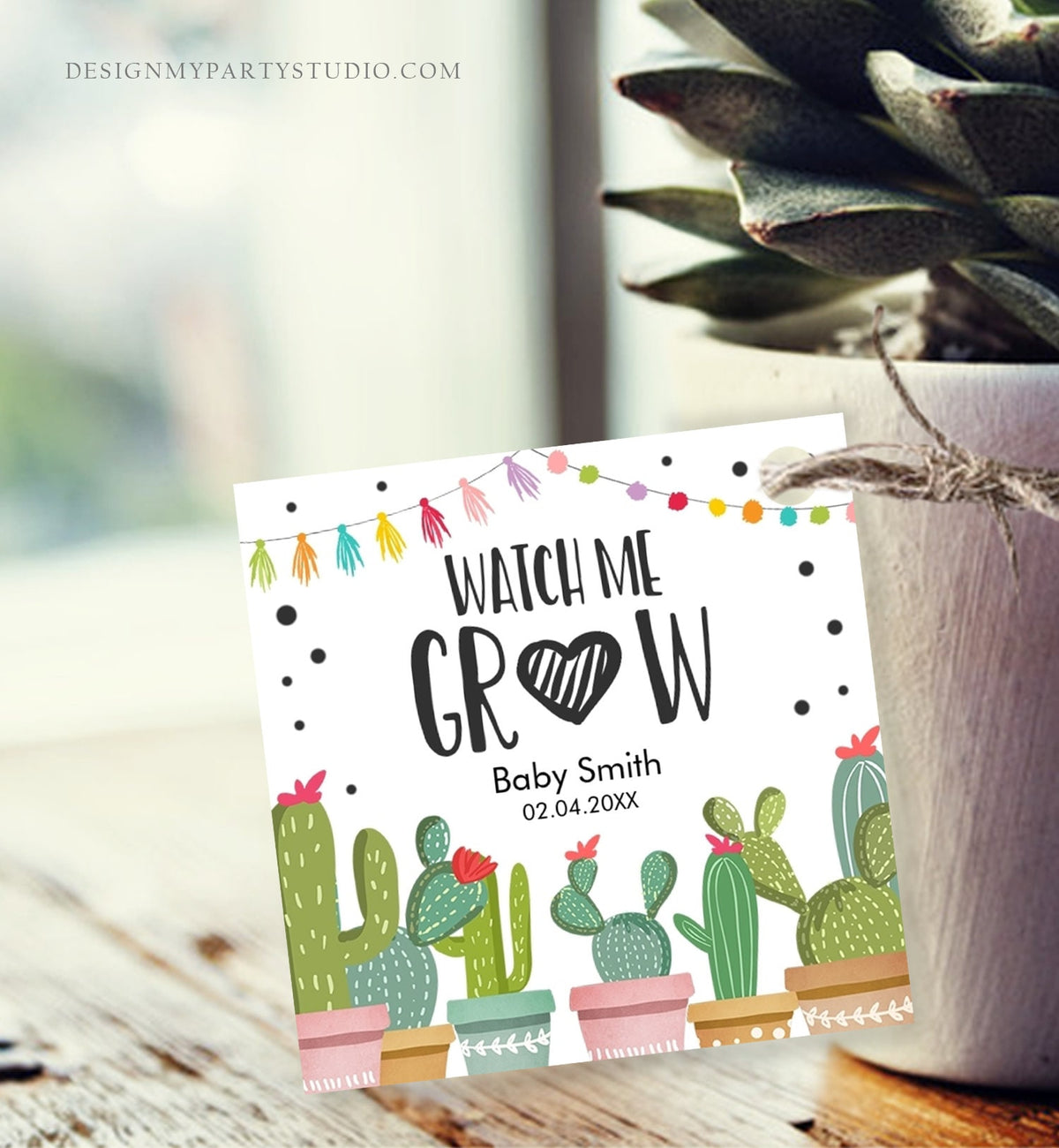 Editable Watch Me Grow Tag Fiesta Cactus Favor Thank You Baby Shower Bridal Succulent Taco Bout Love Digital Template Printable 0254