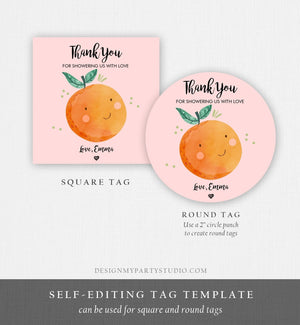 Editable A Little Cutie is on The Way Favor Tag Orange Clementine Baby Shower Cute Gift Pink Girl Square Round Template Corjl Printable 0330