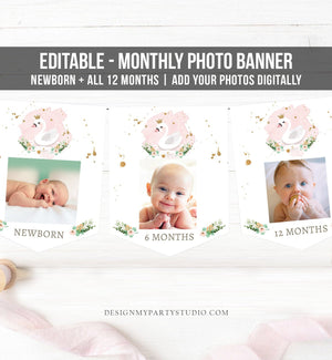 Editable Swan Monthly Photo Banner First Birthday Banner Princess Photo Banner 1st Girl Pink Decor Floral Gold Corjl Template Printable 0382