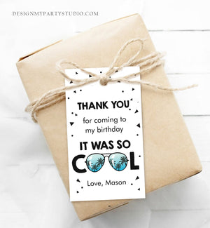 Editable Cool Birthday Favor Tags Thank You Tags Boy Pilot Sunglasses Second Birthday 2nd Gift Tags Palm Corjl Template Printable 0136