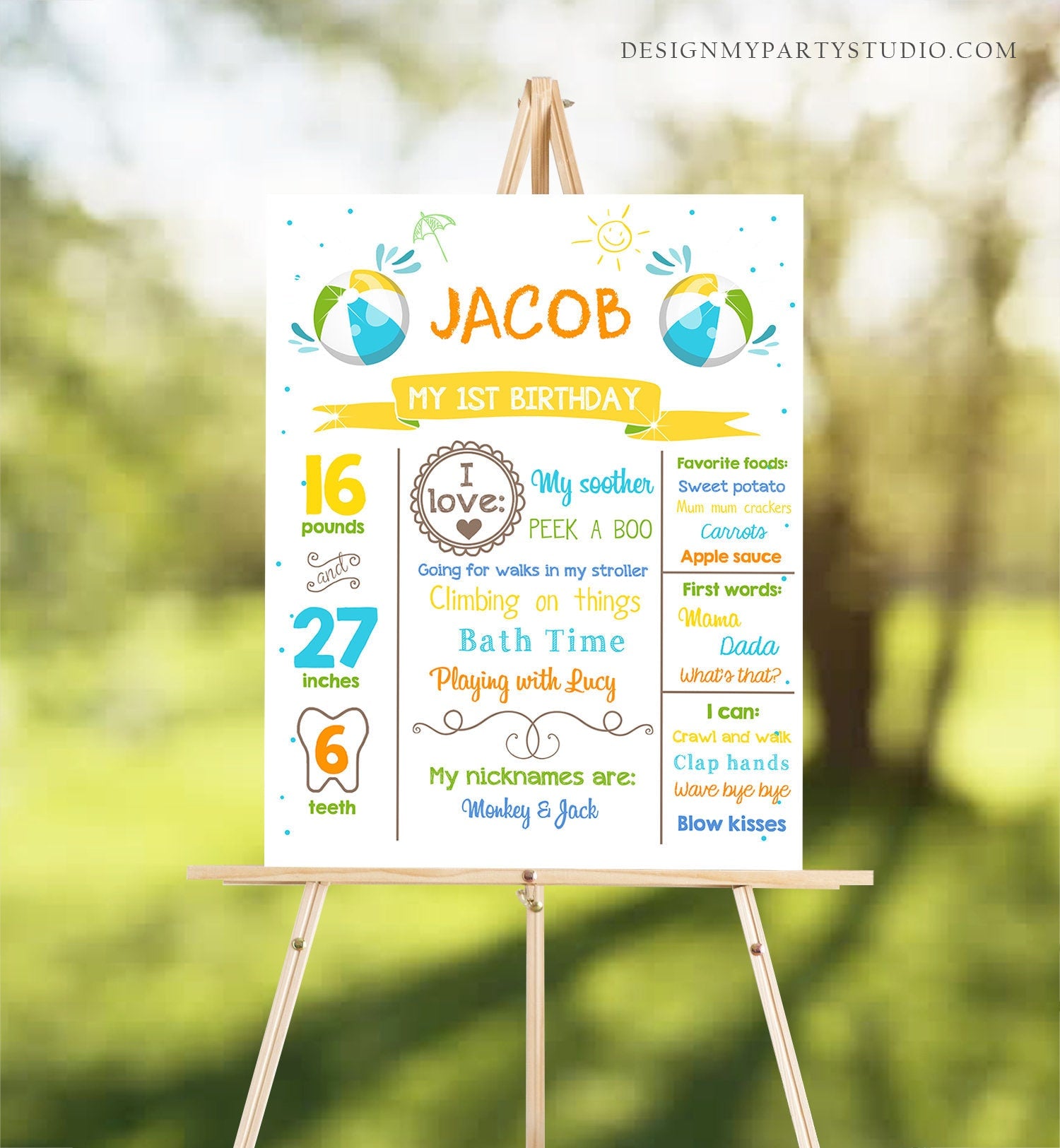 Editable Pool Party Birthday Milestones Poster Birthday Chalkboard Splish Splash Ball 1st Birthday Boy Download Printable Corjl 0169