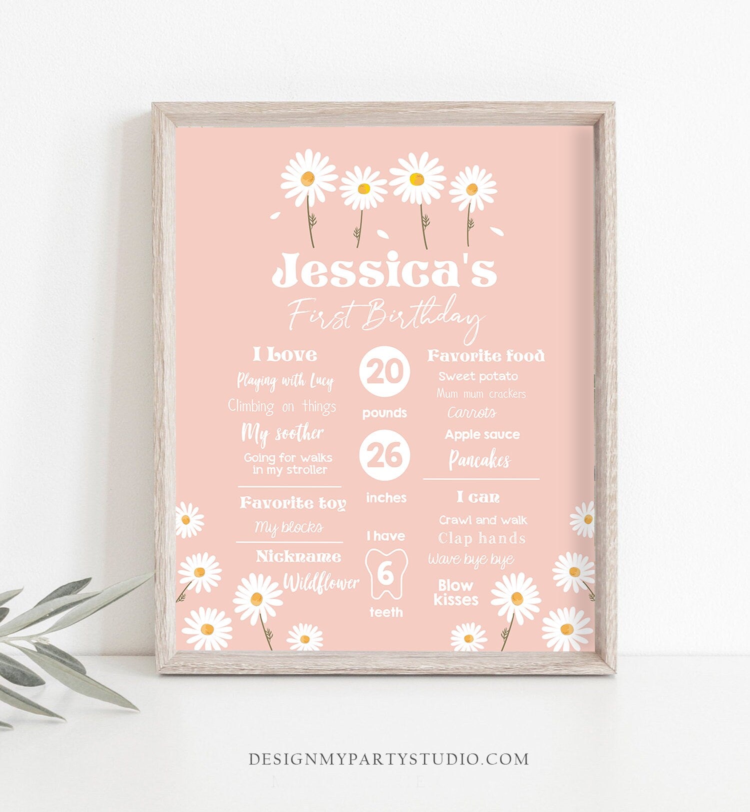 Editable Daisy Milestone Poster Daisy Birthday Milestones Sign Girl Floral Boho Daisies 1st Birthday Stats Template Printable Corjl 0410