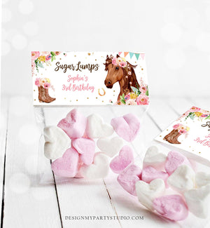 Editable Horse Treat Bag Toppers Horse Birthday Favors Girl Horse Party Favor Tags Cowgirl Pink Floral Corjl Template Printable 0408
