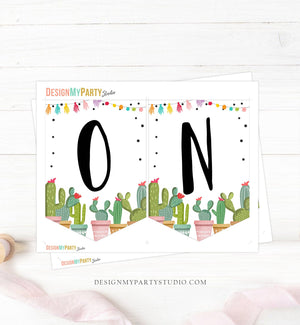 Cactus High Chair Banner Girl 1st First Birthday Pink ONE Fiesta Birthday Party Decor One Garland Cactus Succulent PRINTABLE Digital 0254