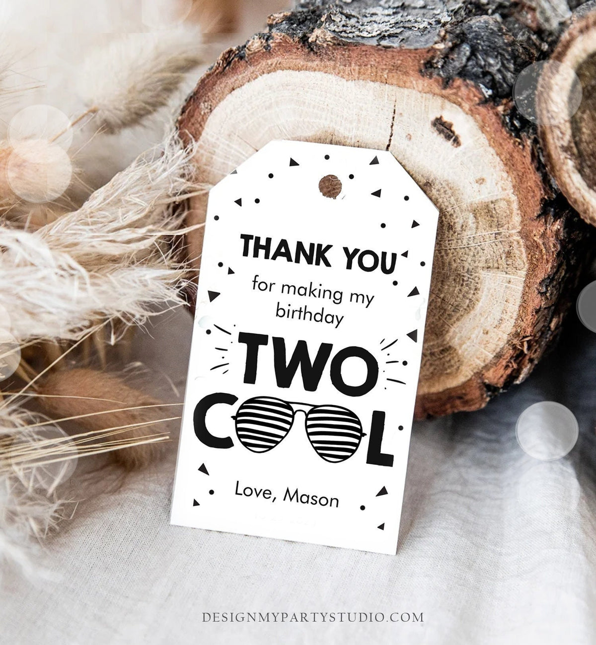 Editable Two Cool Favor Tags Birthday Thank You Tags Boy Second Birthday 2nd Gift Tags Sunglasses Pilot Corjl Template Printable 0136