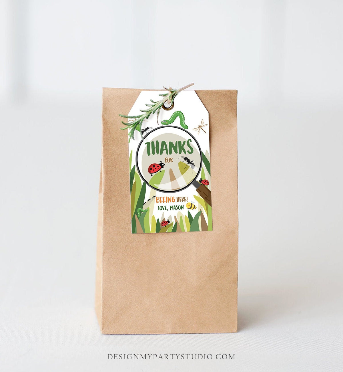 Editable Bug Favor Tags Bug Birthday Bugs Thank you tags Label Bug Party Insect Gift tags Bugging out Beeing Template PRINTABLE Corjl 0090