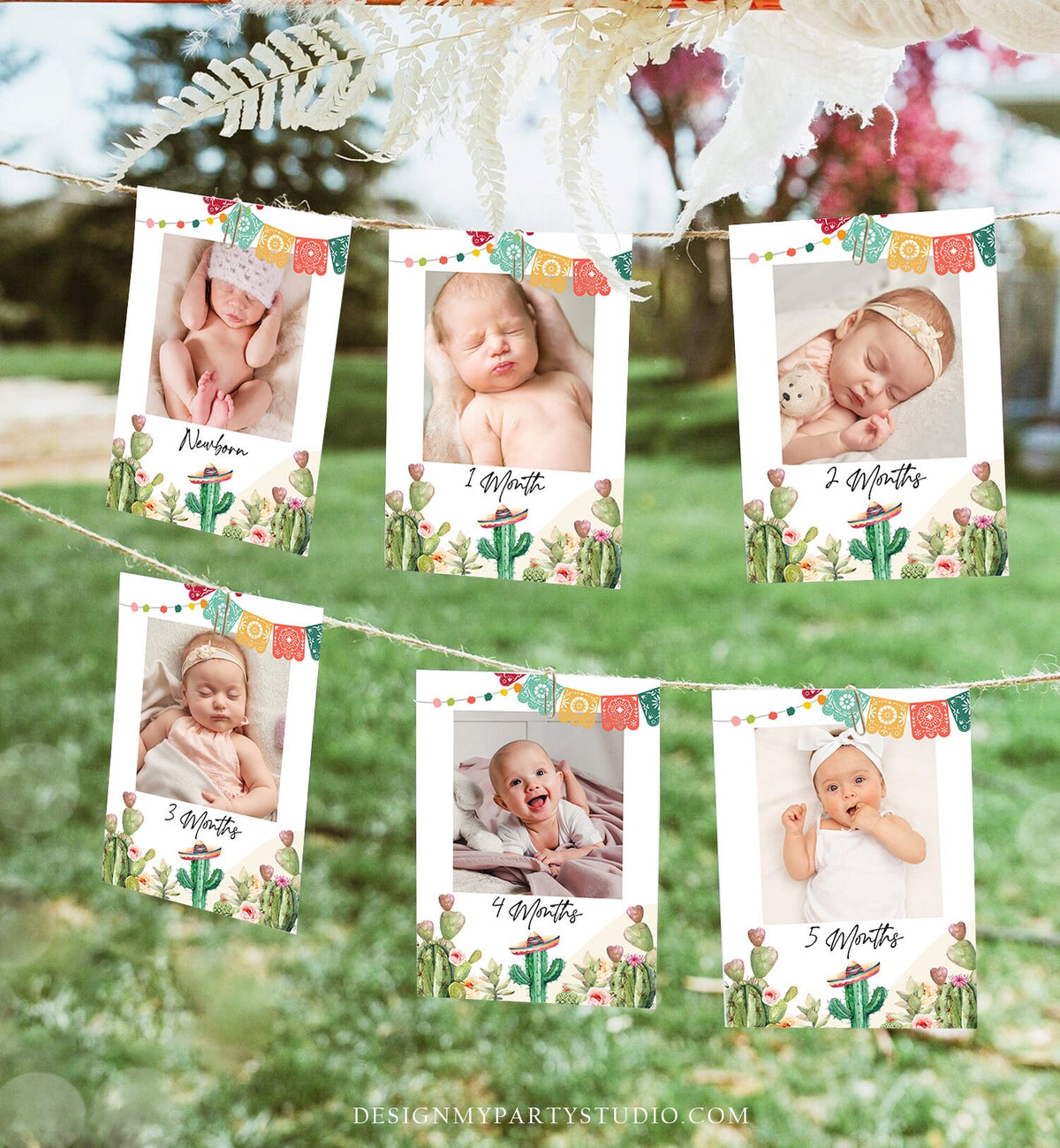 Editable Fiesta Monthly Photo Banner First Birthday Banner Boy Girl Fiesta Birthday Mexican Cactus Desert Decor Summer Corjl Template 0404