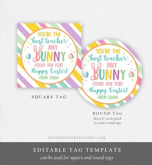 Editable Teacher Gift Tags Easter You're the Best Teacher Any Bunny Could Ask For Favor Tags Teacher Appreciation Digital PRINTABLE 0449