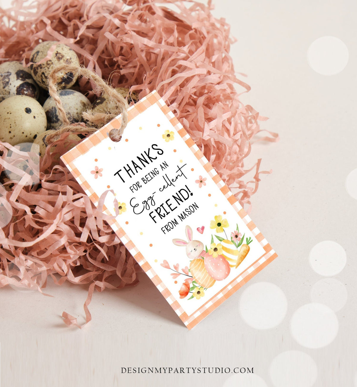 Editable Easter Friend Gift Tags Easter Eggcellent Friend Classroom Easter Favor Tags Kids Bunny Cookie Tag Kids Digital PRINTABLE 0449