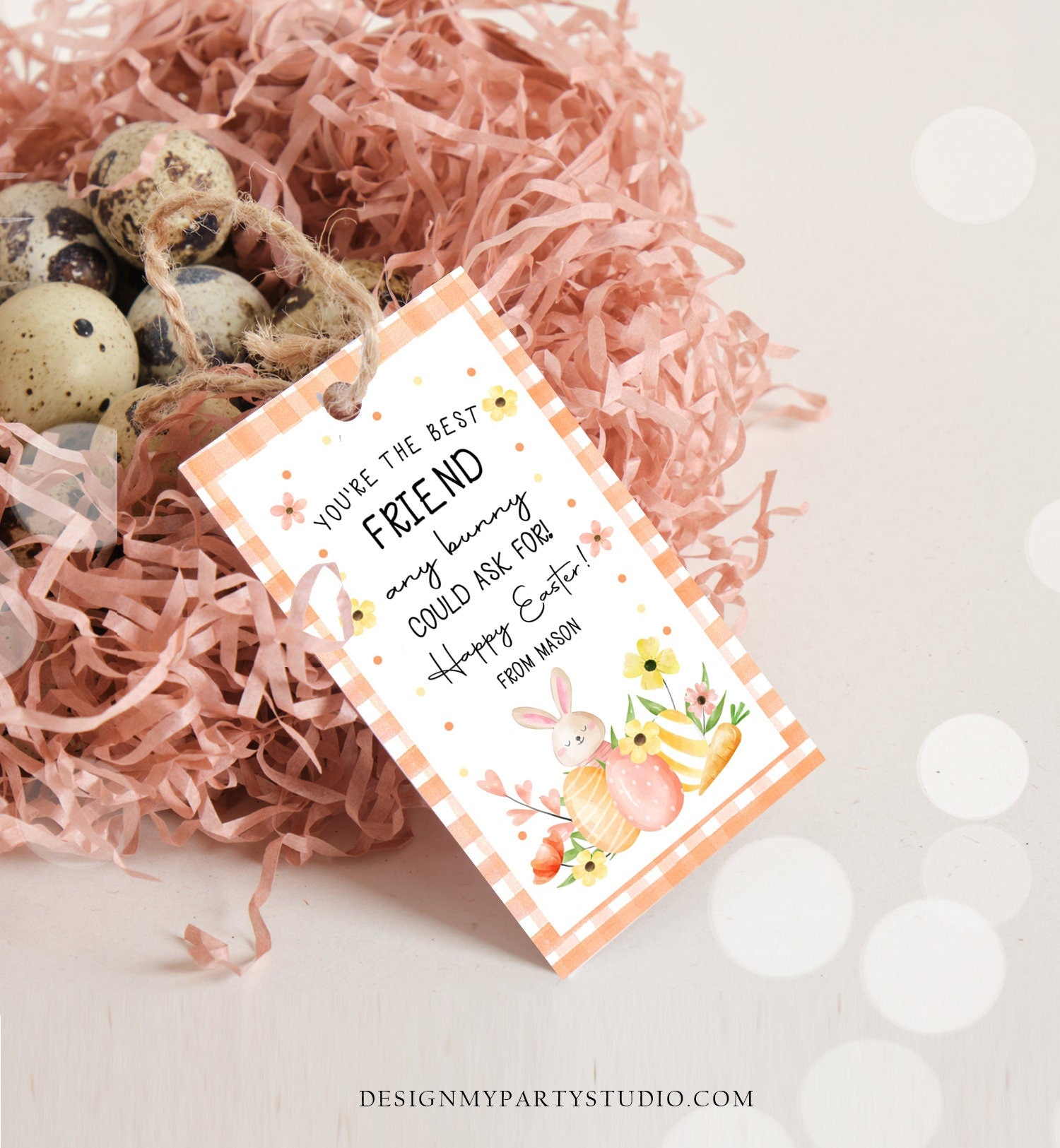 Editable Easter Gift Tags Easter You're the Best Friend Any Bunny Could Ask For Favor Tags Classroom Kids Bunny Digital PRINTABLE 0449